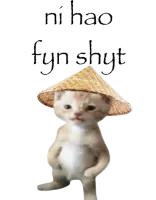 Ni Hao Fyn Shyt logo