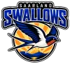 Saarland swallows logo
