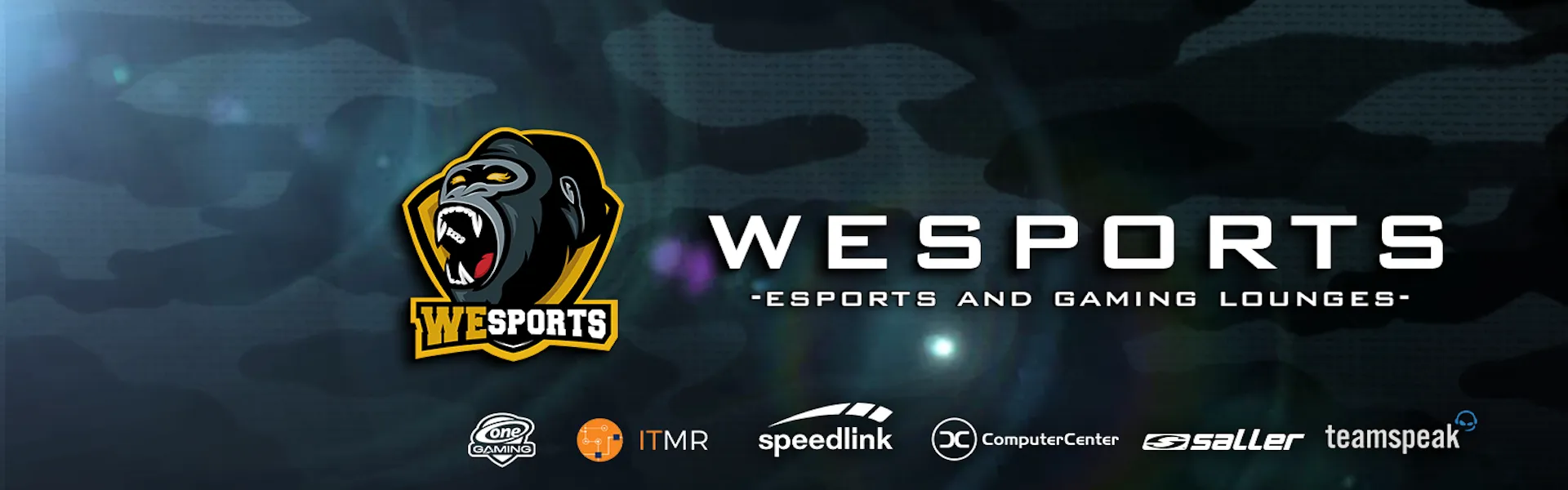 WeSports banner