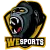 WeSports GmbH logo