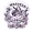 Western Academy logo