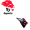 York x Seneca logo