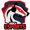 Brock Esports logo