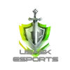 University of Saskatchewan Esports Club logo