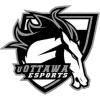 uOttawa Grey logo