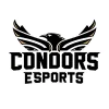 Conestoga Condors Academy logo