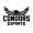 Conestoga Condors Academy logo