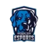 OTSU Esports Varsity logo