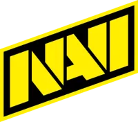 Team Navi logo