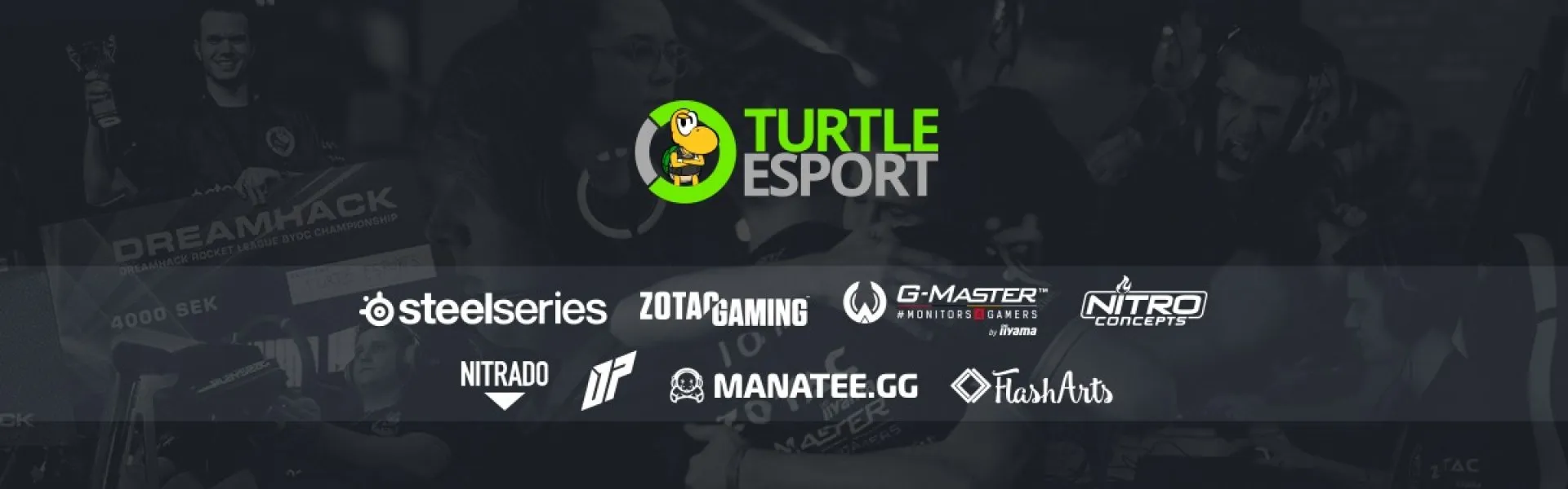 Turtle eSport banner