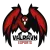 Valravn eSports AC [inactive] logo