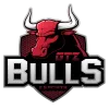GTZ Bulls Esports logo