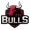 GTZ Bulls Esports logo