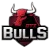 GTZ Bulls Esports logo