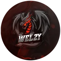 Welzy Esports logo