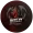 Welzy Esports logo