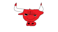 '96 Bulls logo