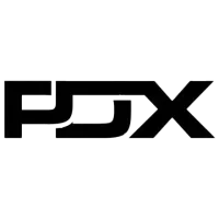 Paradox White logo