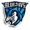 BLUEJAYS - Phoenix logo