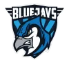 BLUEJAYS Efcto logo
