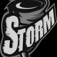 Die Stormies logo