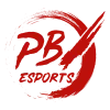 Projekt Black X Console Main Team logo