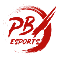 Projekt Black X Console Main Team logo