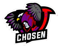 Team Chosen logo