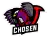 Team Chosen logo