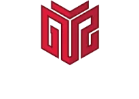 Nplay GTZ Esports [inactive] logo