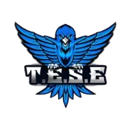 Tatabányai Esport Egyesület [inactive] logo