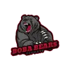 Team boba bears logo