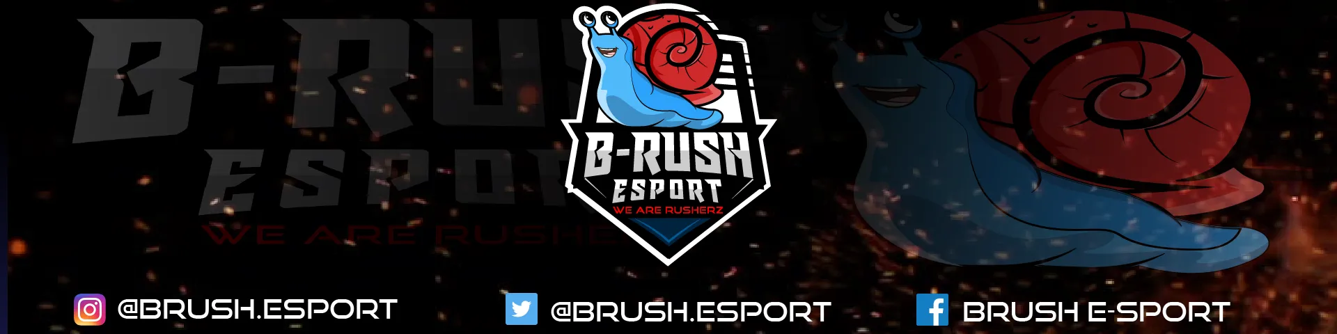 bRush eSport banner