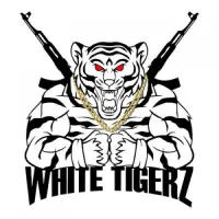 WhiteTigerZ Academy   logo_logo