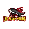 1.EC Regen Wolves logo
