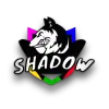 shadow-team_logo