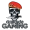 DarkSide Gaming logo