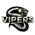 Vipers esports logo