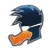 Playing Ducks logo