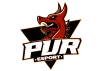 PuR eSport logo