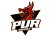 PuR eSport logo