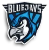 BLUEJAYS HEALTH logo
