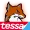 Fuzed Foxes logo