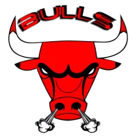 Bulls logo_logo
