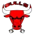 Bulls logo