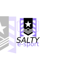 Salty Esport logo