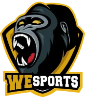 WeSports Team For the Ace logo