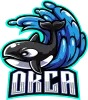 The Thunder Orcas logo