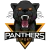 PANTHERS logo