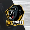 WeSports Academy _logo